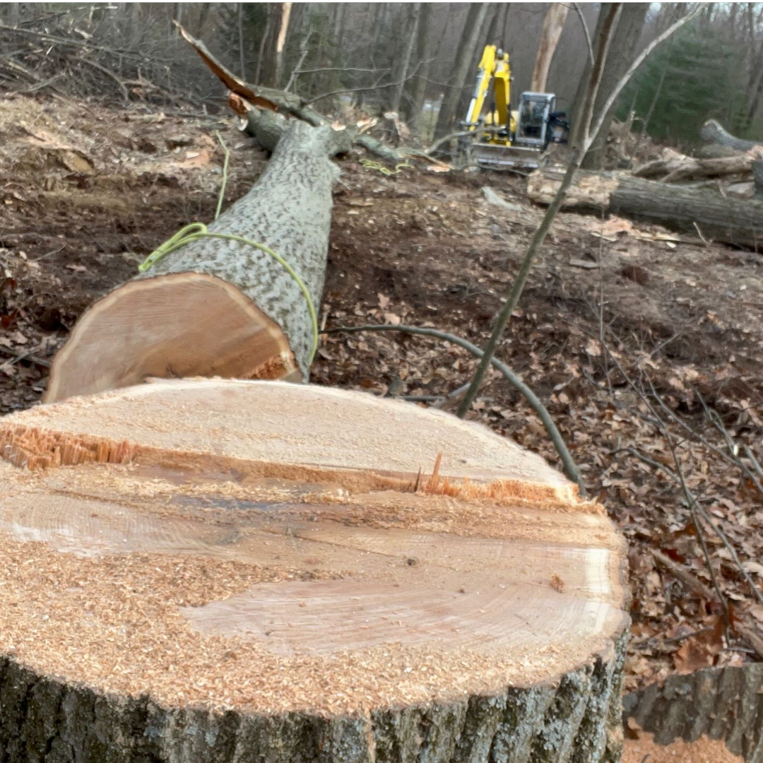 Logging & Excavation